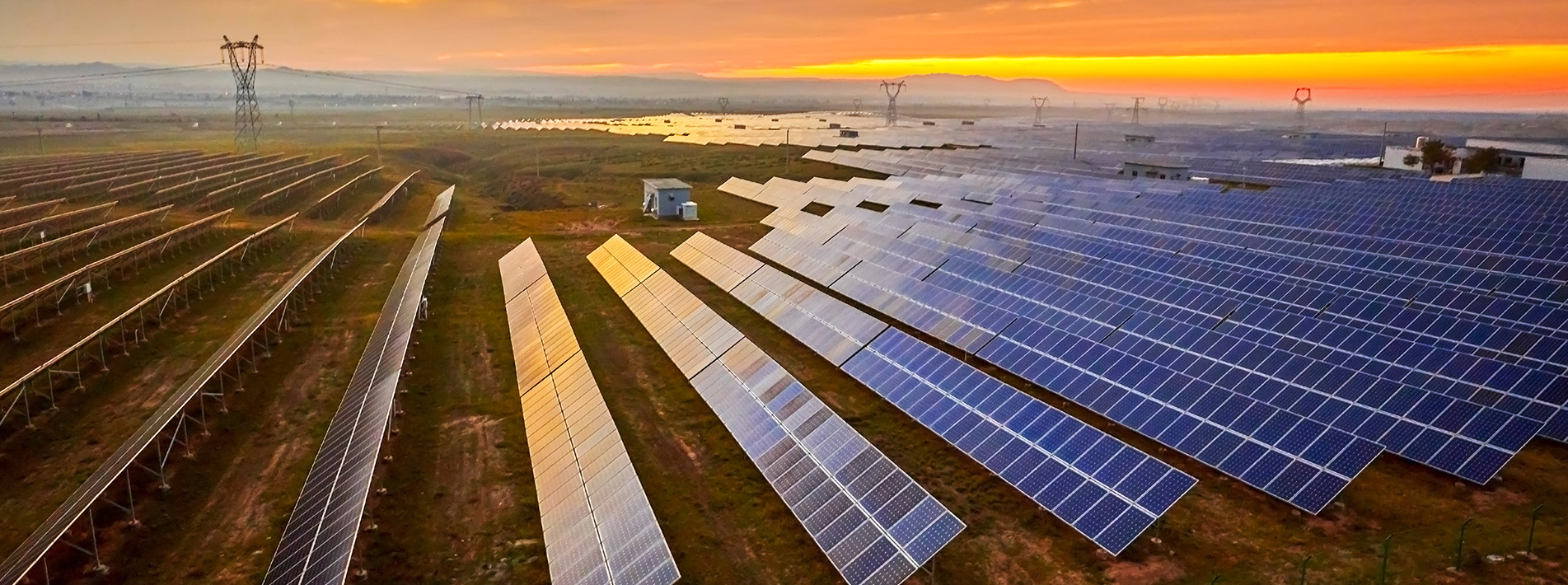 solar panel farms