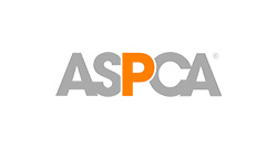 Asp