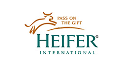 Heifer