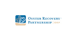 oyster