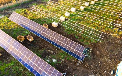 Community Solar Gardens: How Shared Solar Projects Are Empowering Communities