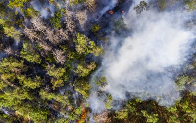 The Worsening Wildfire Season: A Call for Renewable Energy Solutions