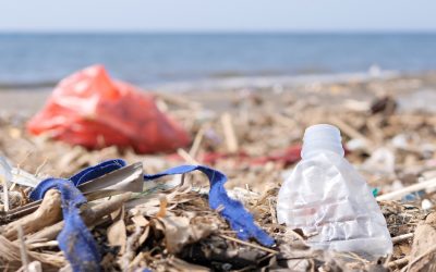 Tackling Plastic Pollution: How the Global Plastics Treaty Could Change Our Planet