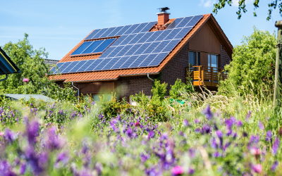 The Role of Solar Energy in Achieving Energy Independence for Homeowners