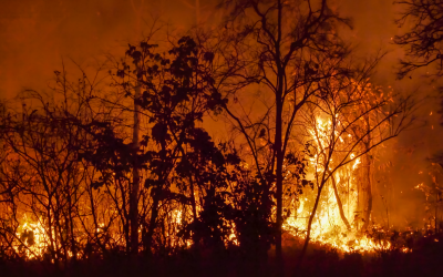 The Role of Solar Energy in Disaster Relief and Emergency Preparedness