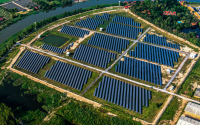 Solar Energy and Wildlife: Striking a Balance Between Progress and Preservation