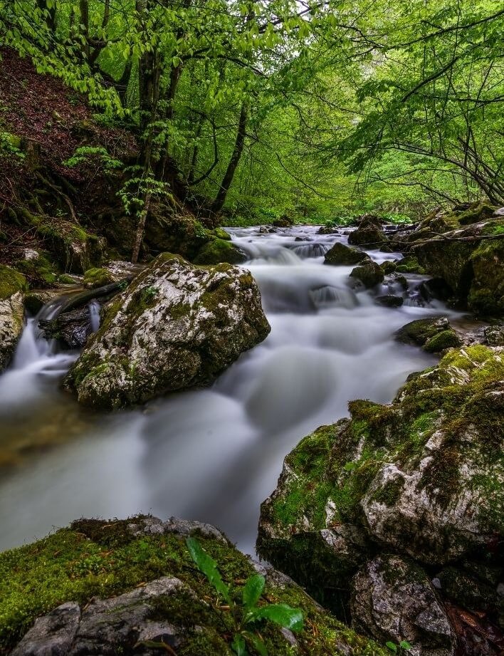 Delaware Renewable Solar Energy